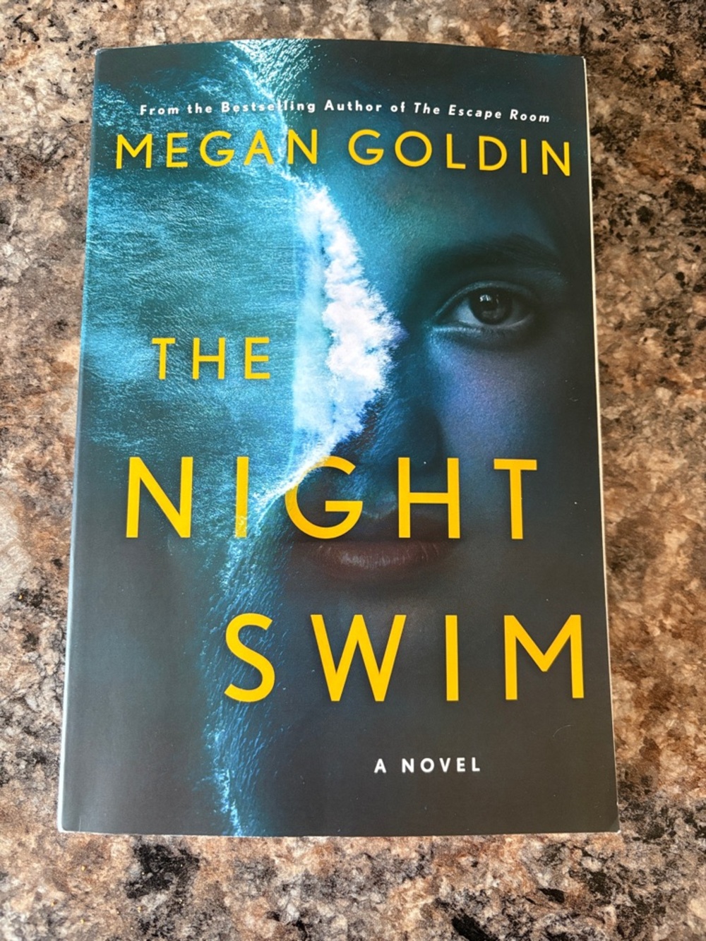 2/$10 The Night Swim by Megan Goldin